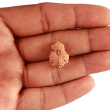 Load image into Gallery viewer, 18 Mukhi Rudraksha from Indonesia - Bead No. 197