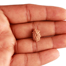 Load image into Gallery viewer, 18 Mukhi Rudraksha from Indonesia - Bead No. 208