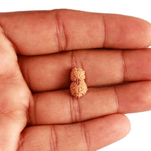 Load image into Gallery viewer, 18 Mukhi Rudraksha from Indonesia - Bead No. 209