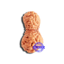 Load image into Gallery viewer, 18 Mukhi Rudraksha from Indonesia - Bead No. 209