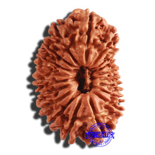 Load image into Gallery viewer, 19 Mukhi Nepalese Rudraksha - Bead 11