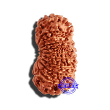 Load image into Gallery viewer, 19 Mukhi Nepalese Rudraksha - Bead 11