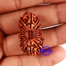 Load image into Gallery viewer, 19 Mukhi Nepalese Rudraksha - Bead 18
