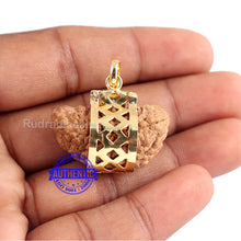 Load image into Gallery viewer, 1 Mukhi half moon shaped from India - Bead No. 160