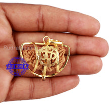 Load image into Gallery viewer, 1 Mukhi half moon shaped from India - Bead No. 1