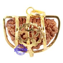 Load image into Gallery viewer, 1 Mukhi half moon shaped from India - Bead No. 13