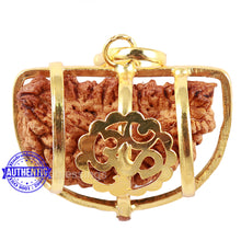 Load image into Gallery viewer, 1 Mukhi half moon shaped from India - Bead No. 203