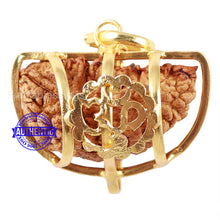 Load image into Gallery viewer, 1 Mukhi half moon shaped from India - Bead No. 2