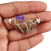 Load image into Gallery viewer, 1 Mukhi half moon shaped from India - Bead No. 54