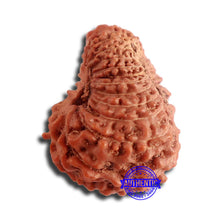 Load image into Gallery viewer, 20 Mukhi Indonesian Rudraksha - Bead 81