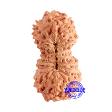 Load image into Gallery viewer, 20 Mukhi Indonesian Rudraksha - Bead 86