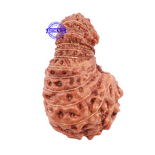 Load image into Gallery viewer, 22 Mukhi Rudraksha from Indonesia - Bead No N