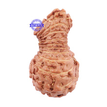 Load image into Gallery viewer, 22 Mukhi Rudraksha from Indonesia - Bead No Q