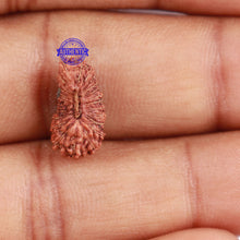 Load image into Gallery viewer, 22 Mukhi Rudraksha from Indonesia - Bead No R