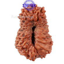 Load image into Gallery viewer, 22 Mukhi Rudraksha from Indonesia - Bead No S