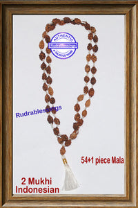 Regular 2 Mukhi Rudraksha Mala - 2 (54+1)