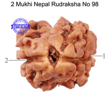 Load image into Gallery viewer, 2 Mukhi Rudraksha from Nepal - Bead No. 98