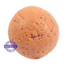 Load image into Gallery viewer, 2 Line Buddha Chitta - Bead No. 11