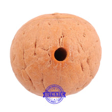 Load image into Gallery viewer, 2 Line Buddha Chitta - Bead No. 11