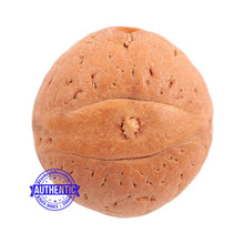 Load image into Gallery viewer, 2 Line Buddha Chitta - Bead No. 11