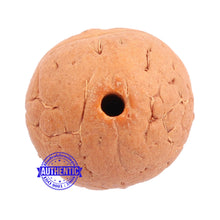 Load image into Gallery viewer, 2 Line Buddha Chitta - Bead No. 12