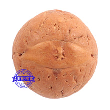 Load image into Gallery viewer, 2 Line Buddha Chitta - Bead No. 1