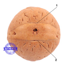 Load image into Gallery viewer, 2 Line Buddha Chitta - Bead No. 3