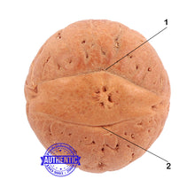 Load image into Gallery viewer, 2 Line Buddha Chitta - Bead No. 4