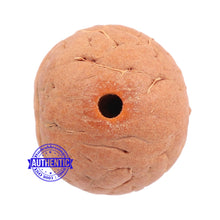 Load image into Gallery viewer, 2 Line Buddha Chitta - Bead No. 4