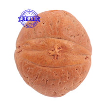 Load image into Gallery viewer, 2 Line Buddha Chitta - Bead No. 5