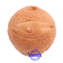 Load image into Gallery viewer, 2 Line Buddha Chitta - Bead No. 7