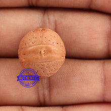 Load image into Gallery viewer, 2 Line Buddha Chitta - Bead No. 9