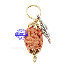 Load image into Gallery viewer, 2 Mukhi Indonesian Rudraksha with Lucky Charm Feather Pendant
