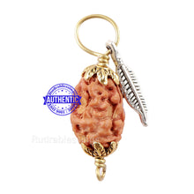 Load image into Gallery viewer, 2 Mukhi Indonesian Rudraksha with Lucky Charm Feather Pendant