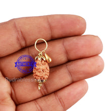 Load image into Gallery viewer, 2 Mukhi Indonesian Rudraksha with Lucky Charm Gada Pendant