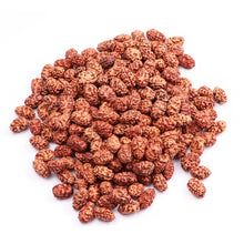 Load image into Gallery viewer, 2 Mukhi Rudraksha from Indonesia (Standard Size) - 100 beads pack