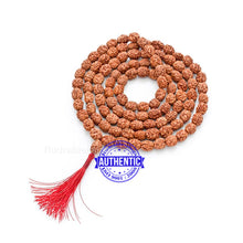 Load image into Gallery viewer, Smooth 2 Mukhi Rudraksha Mala - 4 (108+1)