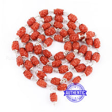 Load image into Gallery viewer, Smooth 2 Mukhi Rudraksha Mala (Pure Silver) - 3