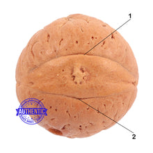 Load image into Gallery viewer, 2 Line Buddha Chitta - Bead No. 2