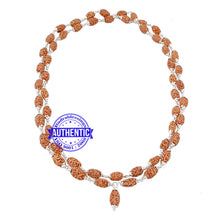 Load image into Gallery viewer, Smooth 2 Mukhi Rudraksha Mala (Pure Silver) - 2