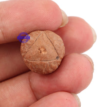 Load image into Gallery viewer, 3 Line Buddha Chitta - Bead No. 1