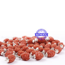 Load image into Gallery viewer, 3 Mukhi Agni Rudraksha Mala - 1 (54+1) (Pure Silver)