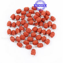 Load image into Gallery viewer, 3 Mukhi Agni Rudraksha Mala - 1 (54+1) (Pure Silver)