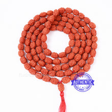 Load image into Gallery viewer, 3 Mukhi Agni Rudraksha Mala - 4 (54+1)
