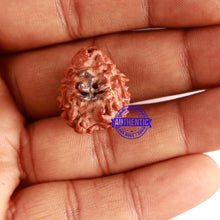 Load image into Gallery viewer, 3 Mukhi Rudraksha with 2 Om Marking - Bead 6
