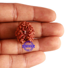 Load image into Gallery viewer, 3 Mukhi Rudraksha with Swastik Marking
