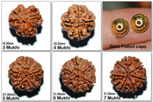 Load image into Gallery viewer, Rudraksha Set - (3 to 7 Mukhi)