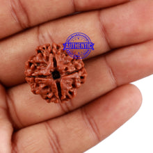 Load image into Gallery viewer, 4 Mukhi Rudraksha from Nepal - Bead No. 18