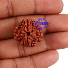 Load image into Gallery viewer, 4 Mukhi Rudraksha from Nepal - Bead No. 234