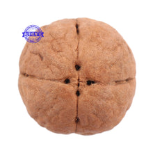 Load image into Gallery viewer, 4 Line Buddha Chitta - Bead No. 1